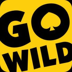 كازينو GoWild