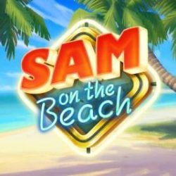 Sam on the Beach