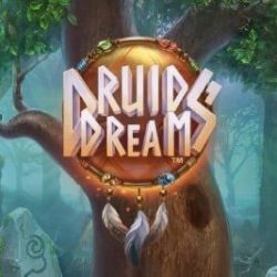 Druid’s Dream