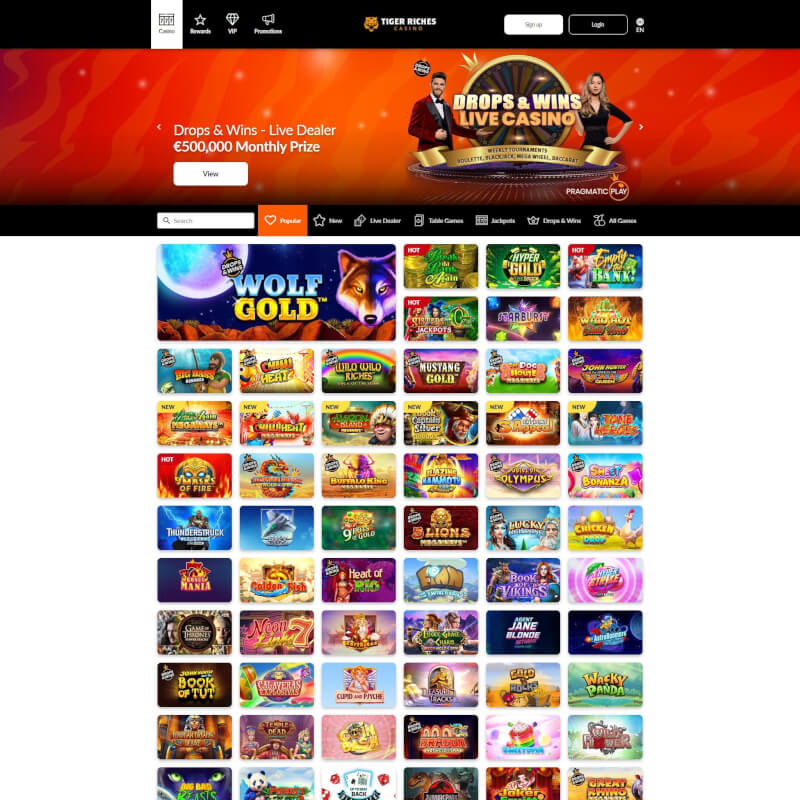Tiger Riches Casino screenshot 1