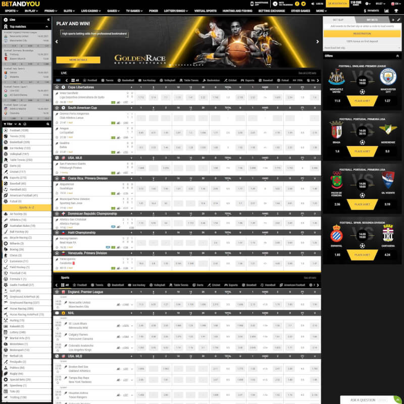 Betandyou Casino screenshot 1