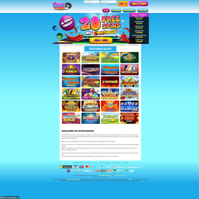 Fever Bingo screenshot 1