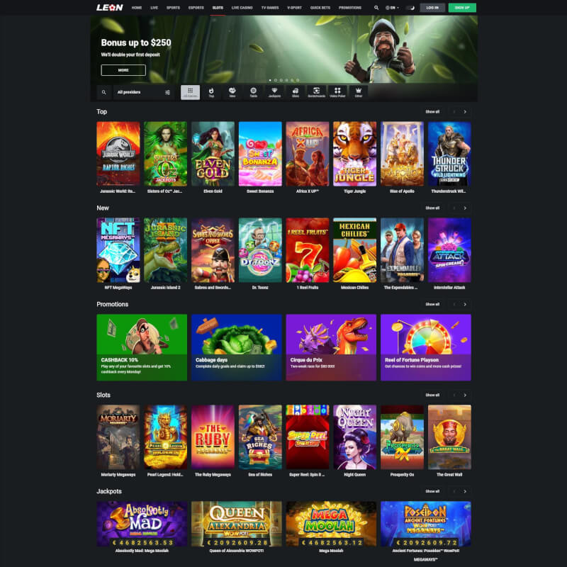 Leon Bet screenshot 1