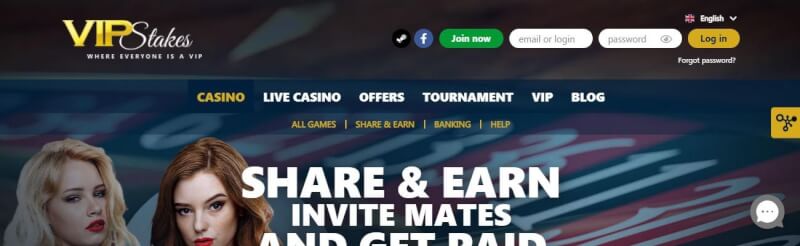 vip stakes assistance options review-logo