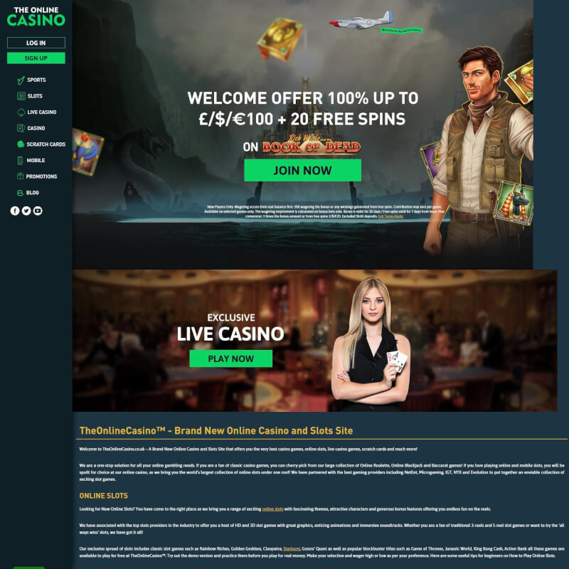 The Online Casino screenshot 1