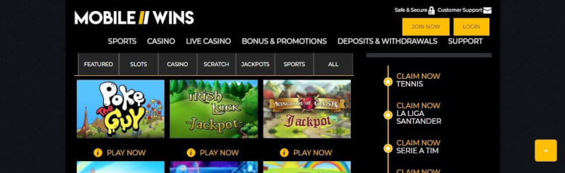 mobile wins casino website provides casino games, first deposit extra and campaigns for brand new players-logo