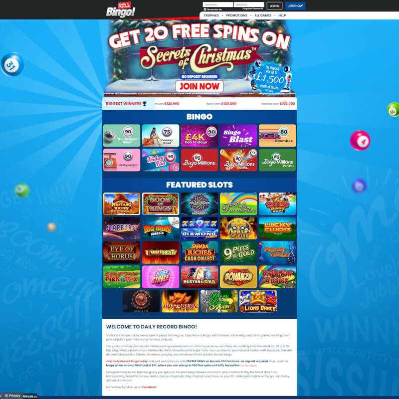 routine Record Bingo screenshot 1