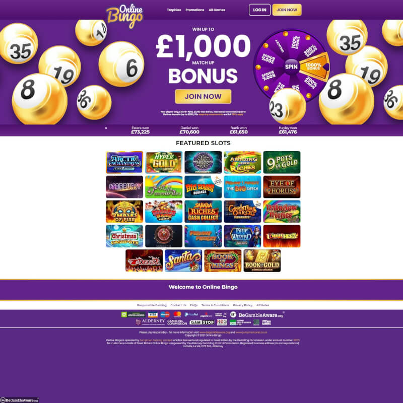 on the web Bingo Casino screenshot 1