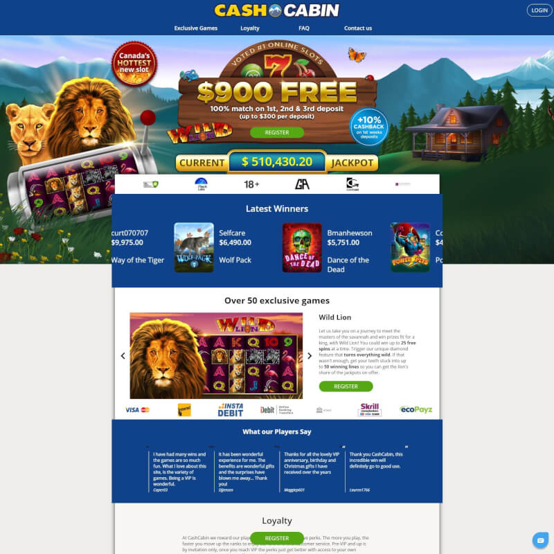 Bingo Cabin screenshot 1